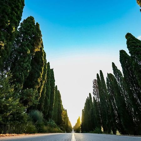 Relais Felciaino B&B Bolgheri Exteriör bild