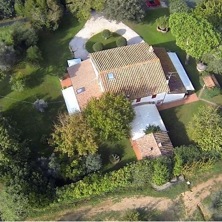 Relais Felciaino B&B Bolgheri Rum bild