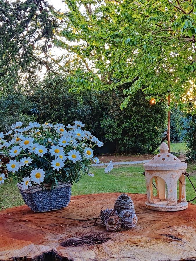 Relais Felciaino B&B Bolgheri Exteriör bild