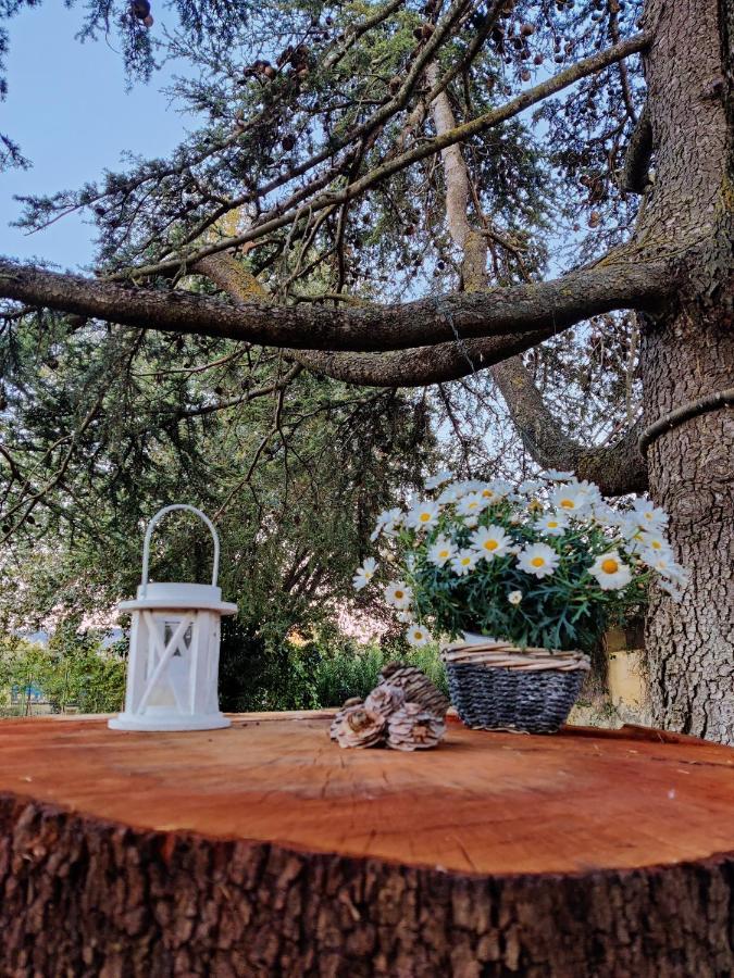 Relais Felciaino B&B Bolgheri Exteriör bild
