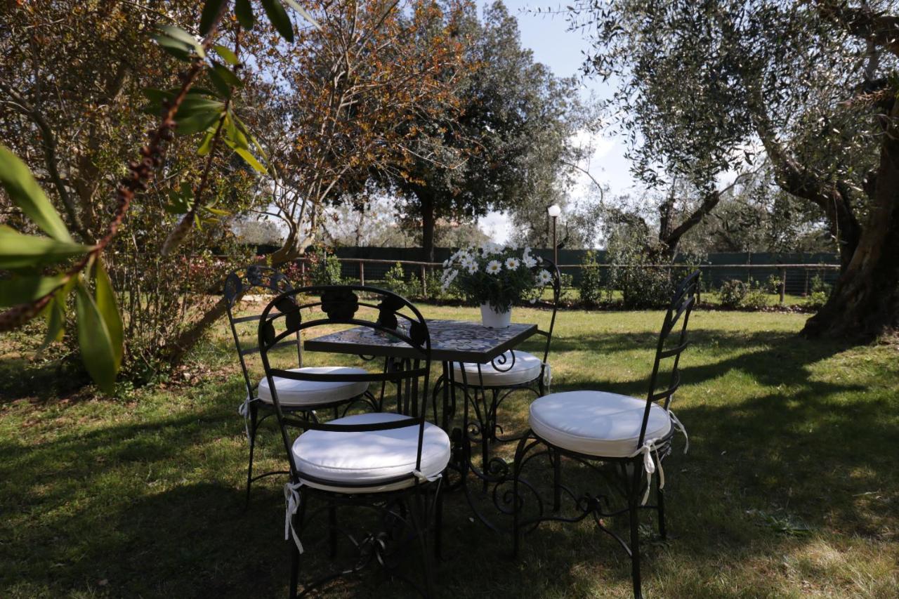 Relais Felciaino B&B Bolgheri Exteriör bild