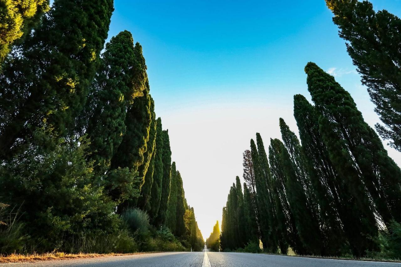 Relais Felciaino B&B Bolgheri Exteriör bild