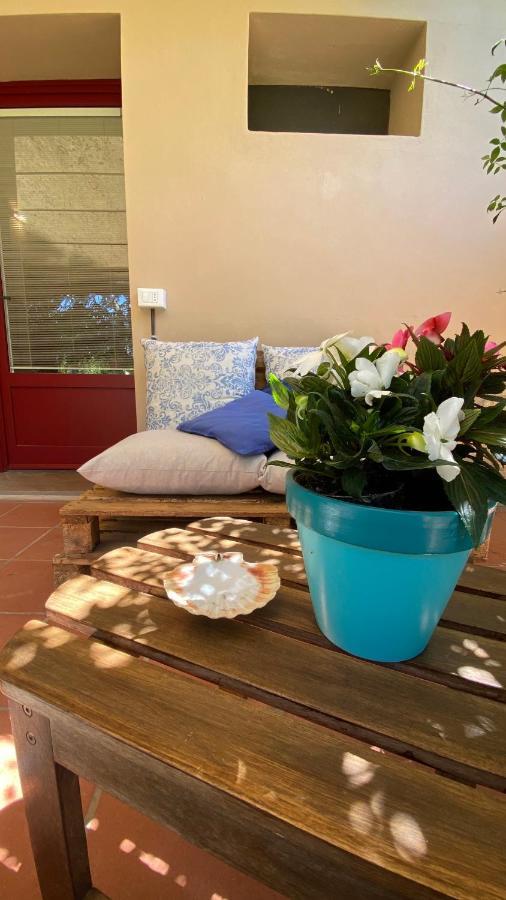 Relais Felciaino B&B Bolgheri Exteriör bild