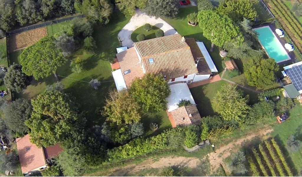 Relais Felciaino B&B Bolgheri Rum bild